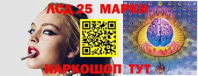 индика Заволжье